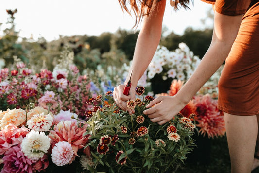 Get The Freshest Flowers Delivered Right To Your Doorstep With Maui Florist