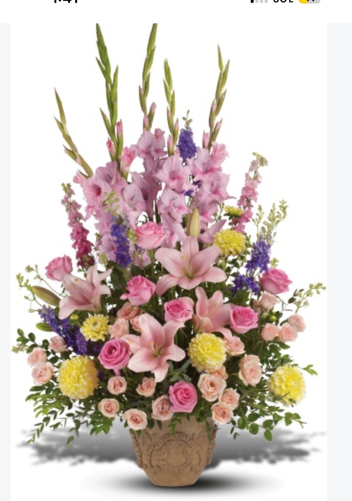 The Memory of You - Sympathy Arrangement