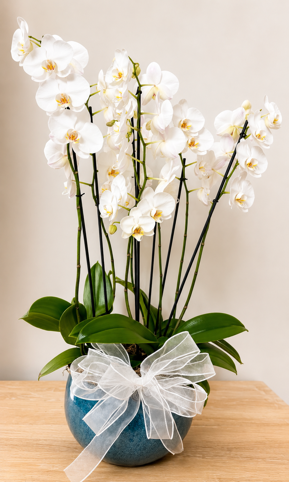 Everlasting Orchids Arrangement