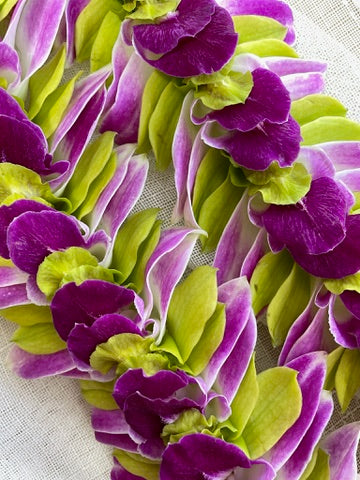 Maui Fancy Orchid Lei