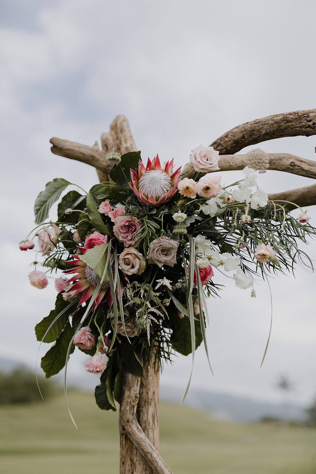 Enchanted - Arch Arrangements