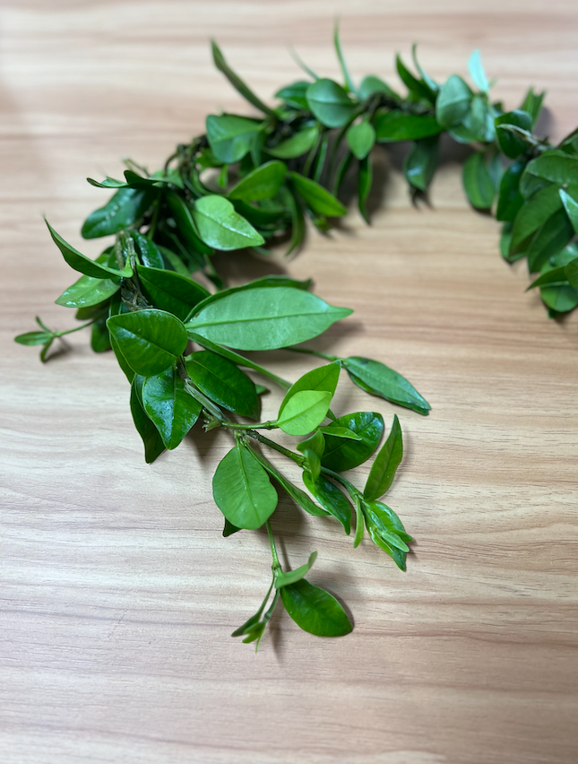 Maile Lei - Traditional