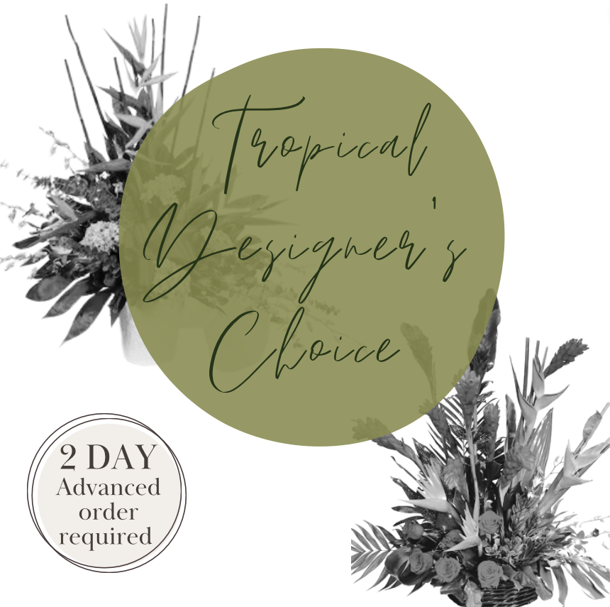 Tropical Designers Choice - Sympathy Arrangement