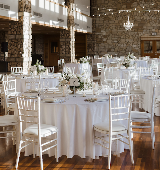 Blush Romance - Round Table Decor