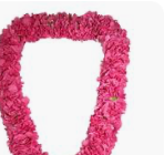Double Carnation Lei