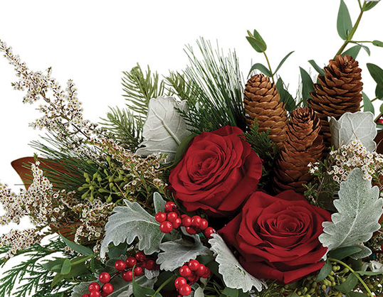 Christmas Arrangement