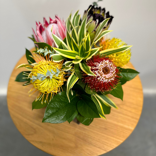 Tropicals from Paradise