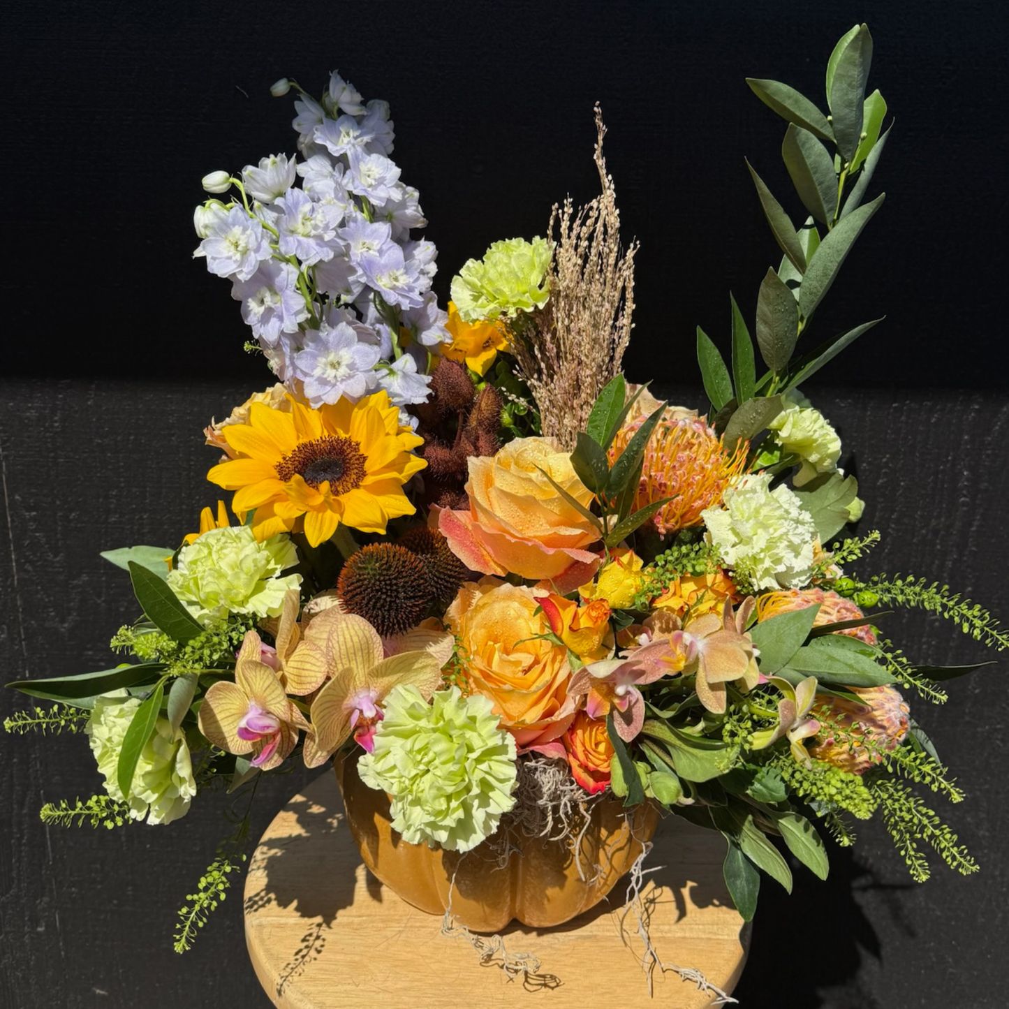 Pumpkin Patch Surprise