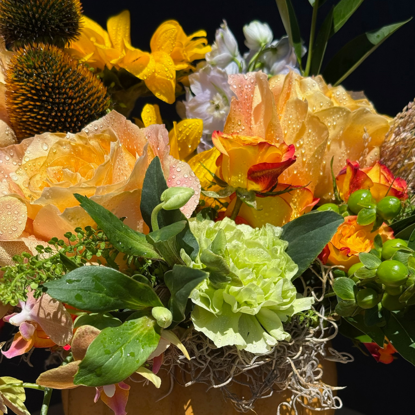 Pumpkin Patch Surprise