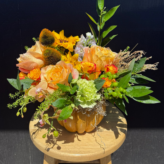 Pumpkin Patch Surprise