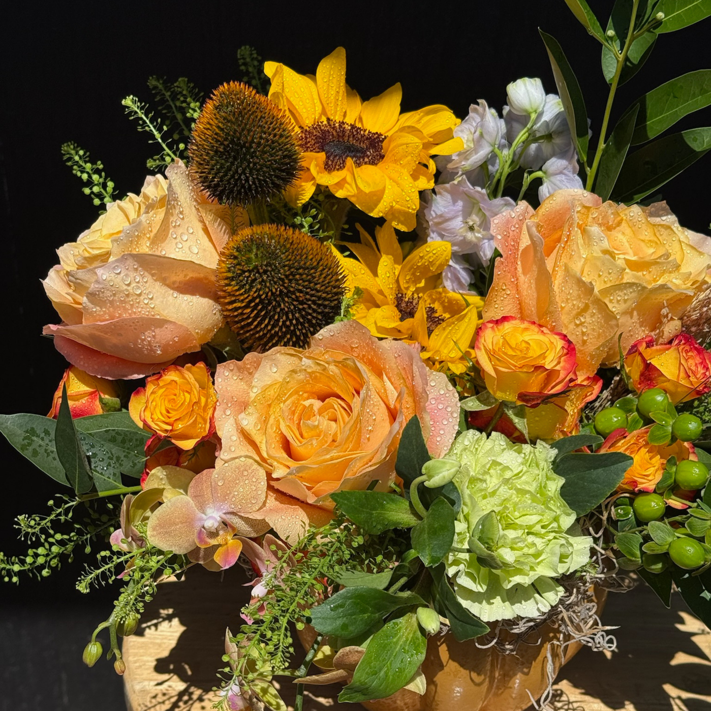 Pumpkin Patch Surprise