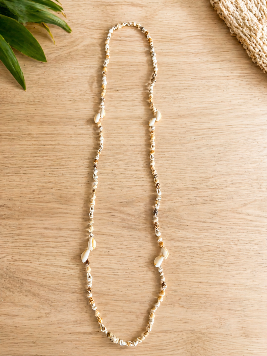 Shell Leis