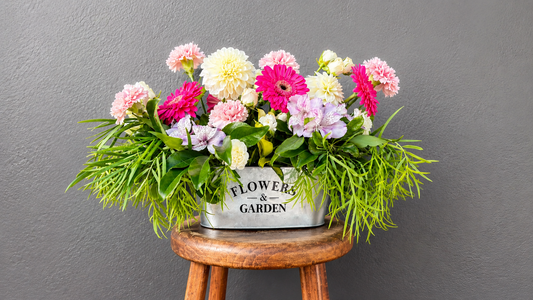 Arrangement of the Month