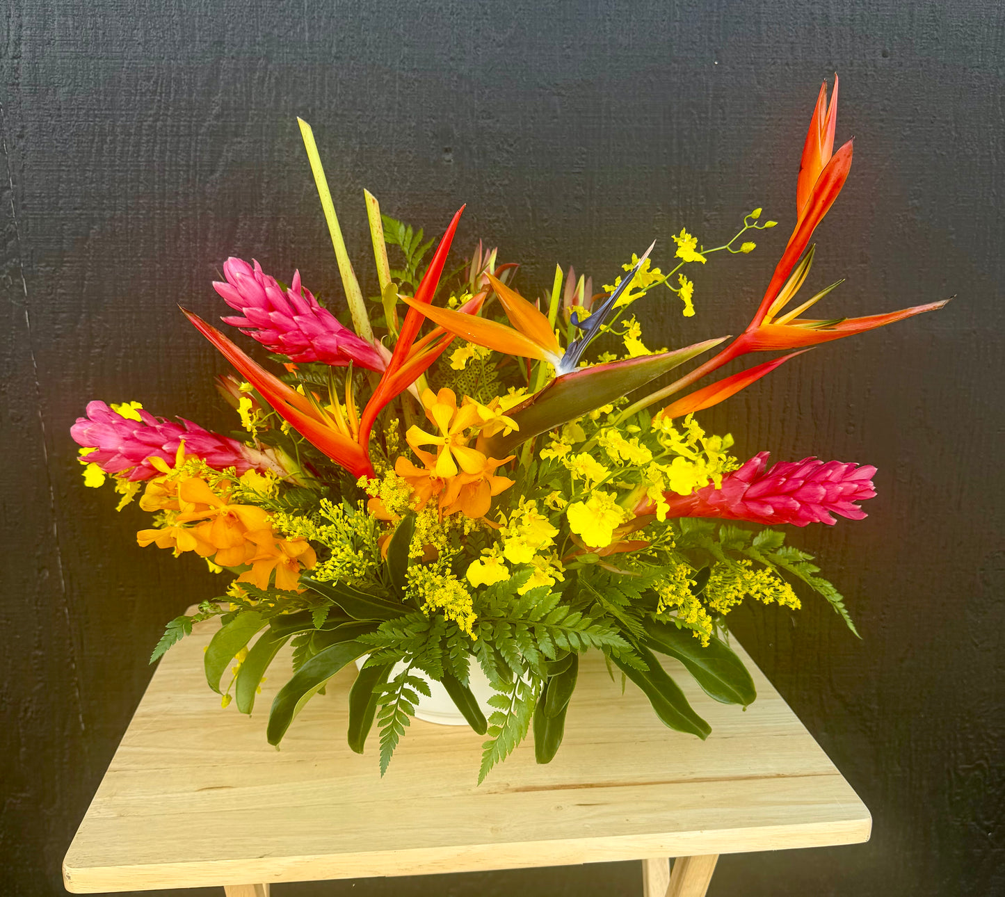 Tropical Garden