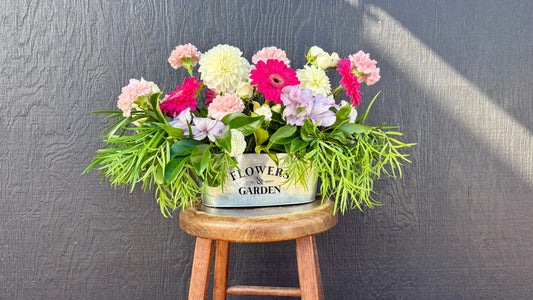 Arrangement of the Month