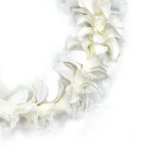 Open Length and a Half Lei