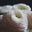 logo of Florist In Maui Hawaii | Funeral & Wedding Flower Shop & Delivery
 – Kahului Florist